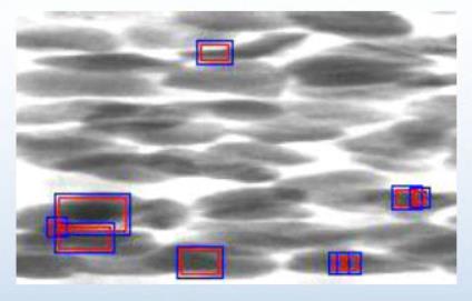 360截圖20211220100212878.jpg 360截圖20211220100212878.jpg